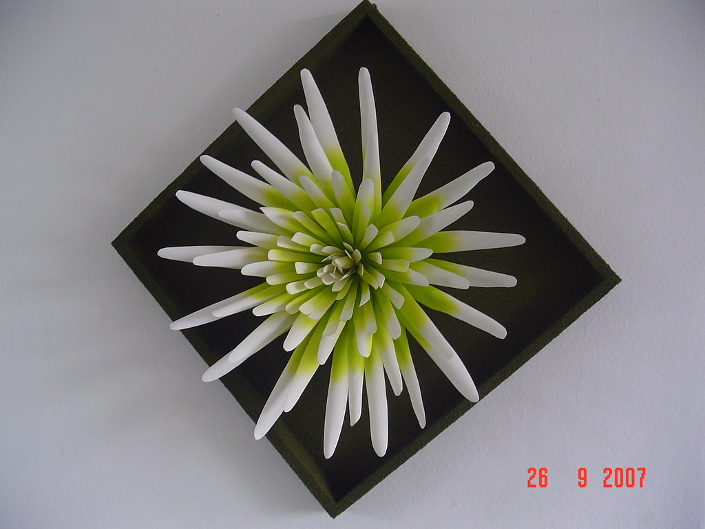 artesanato-com-pet