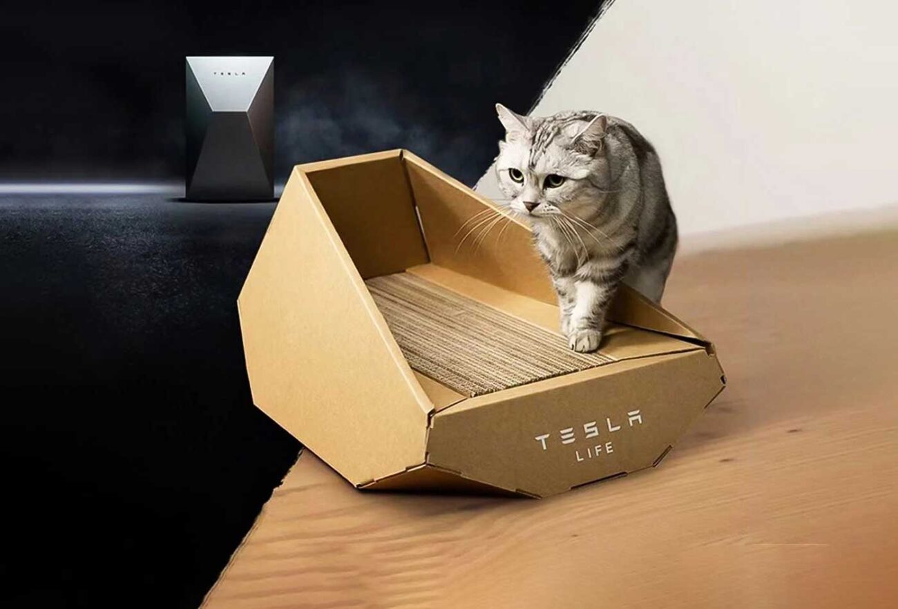 como-fazer-cama-de-gato