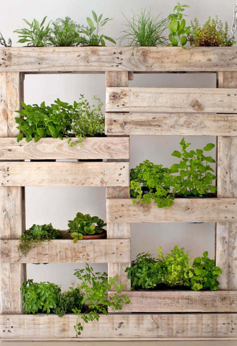 decoracao-de-jardim-com-pallet