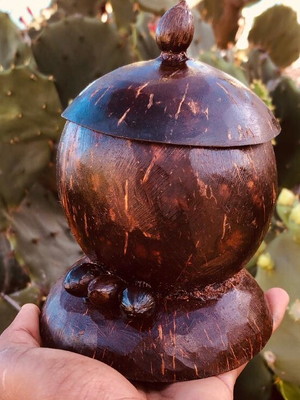 artesanato-com-cocos-secos
