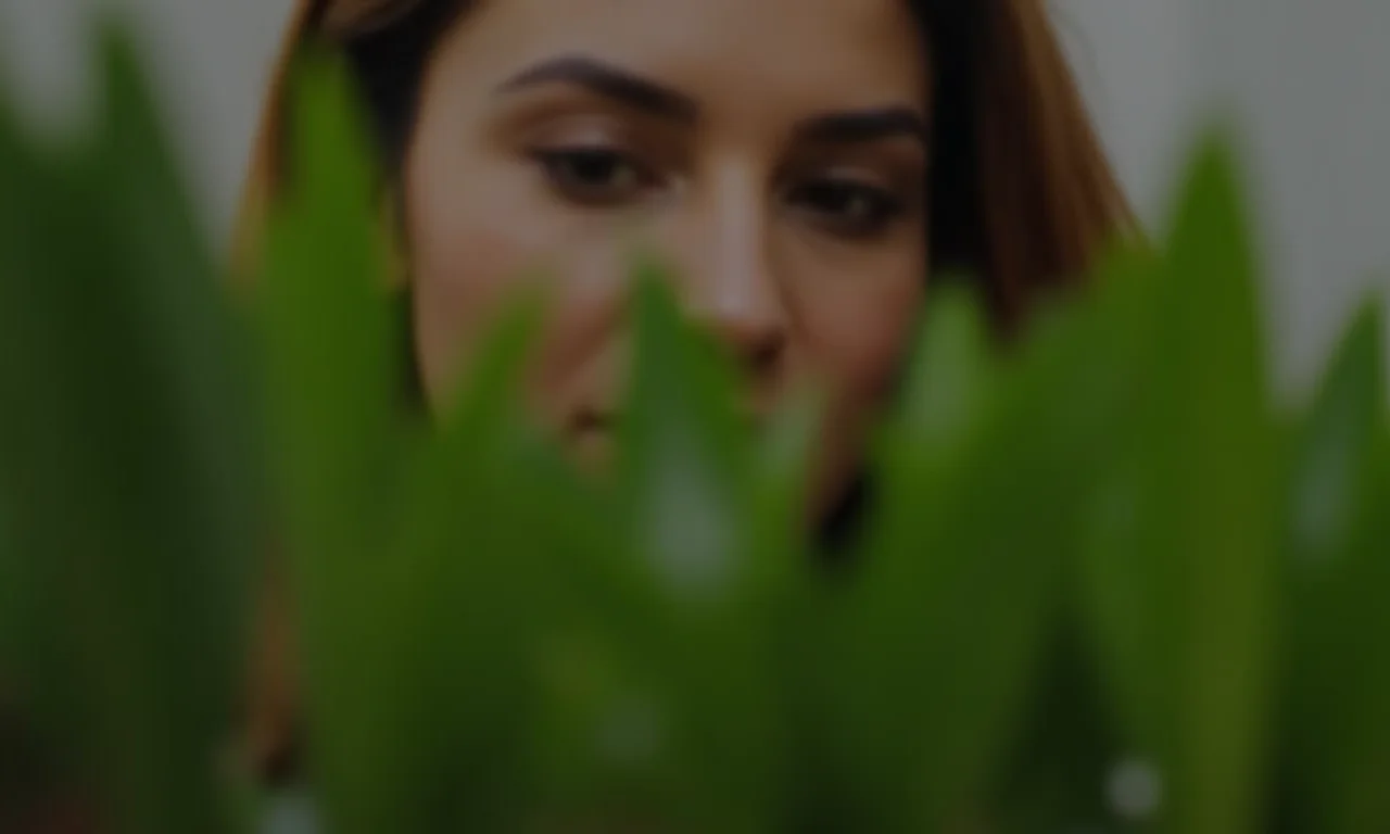 Mulher inspecionando plantas em vasos em busca de pragas e doenças.